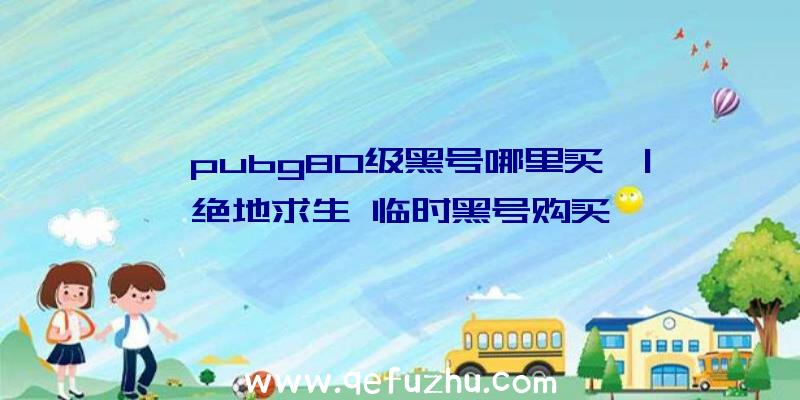 「pubg80级黑号哪里买」|绝地求生